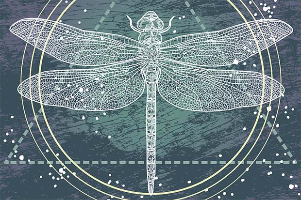 meaning of dragonfly